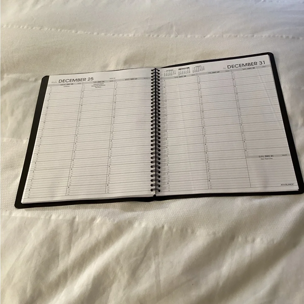 At-A-Glance Format Appointment Book